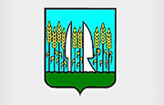 cimer