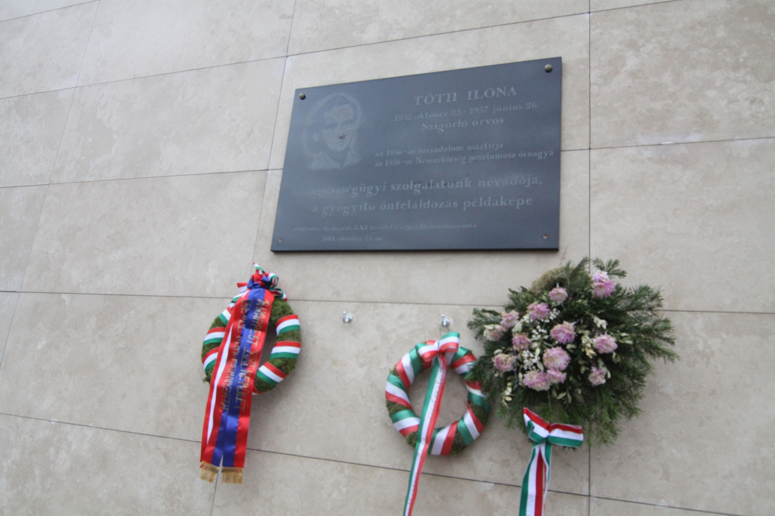 nov4koszoru008