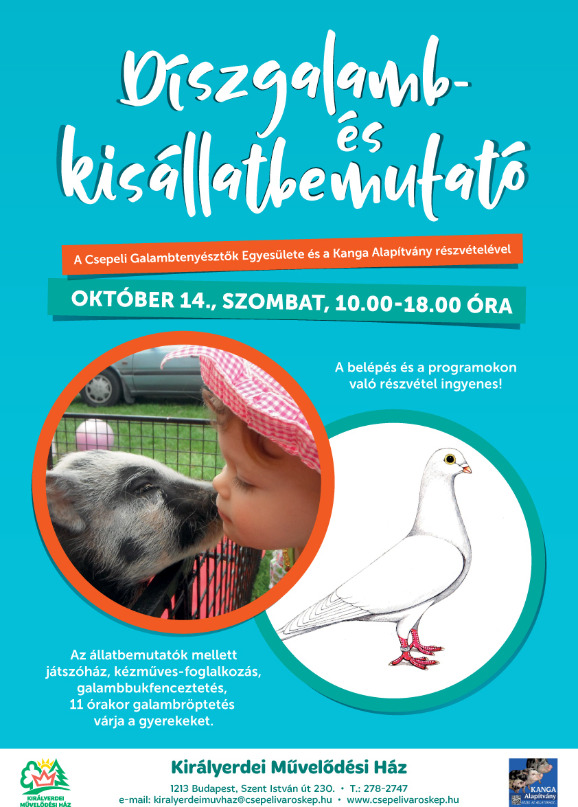 kisallatgalamb A3 copy