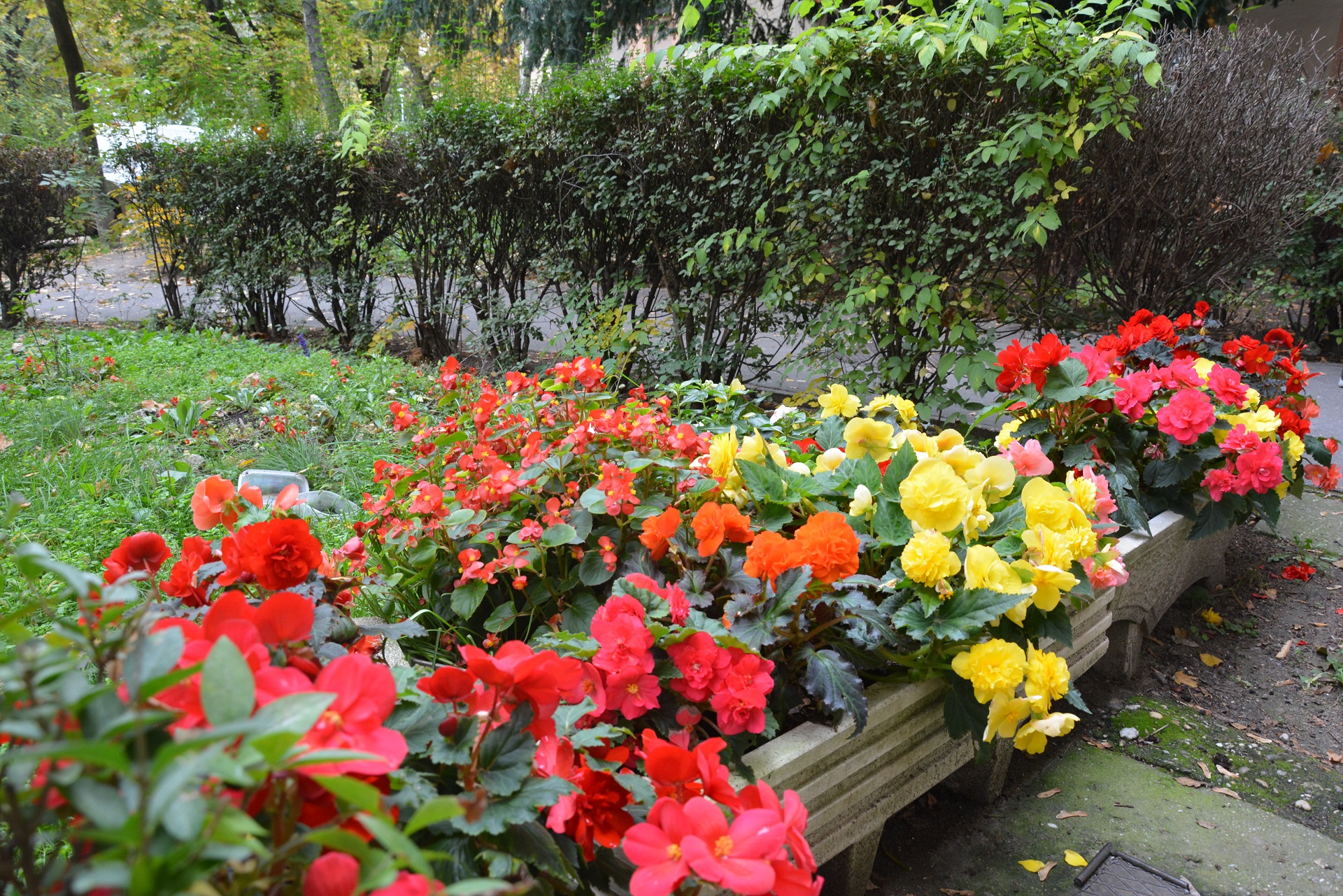 DSC 0073