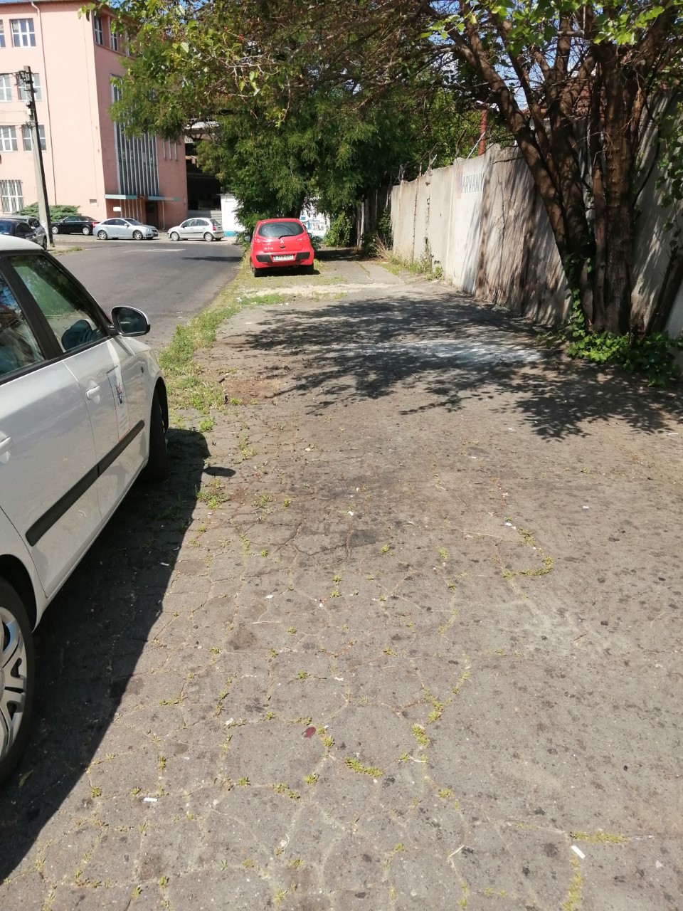 thumbnail IMG 20220616 103126