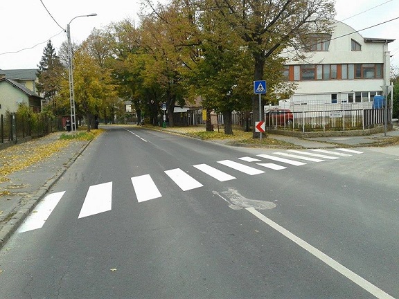 zebra uj 2016